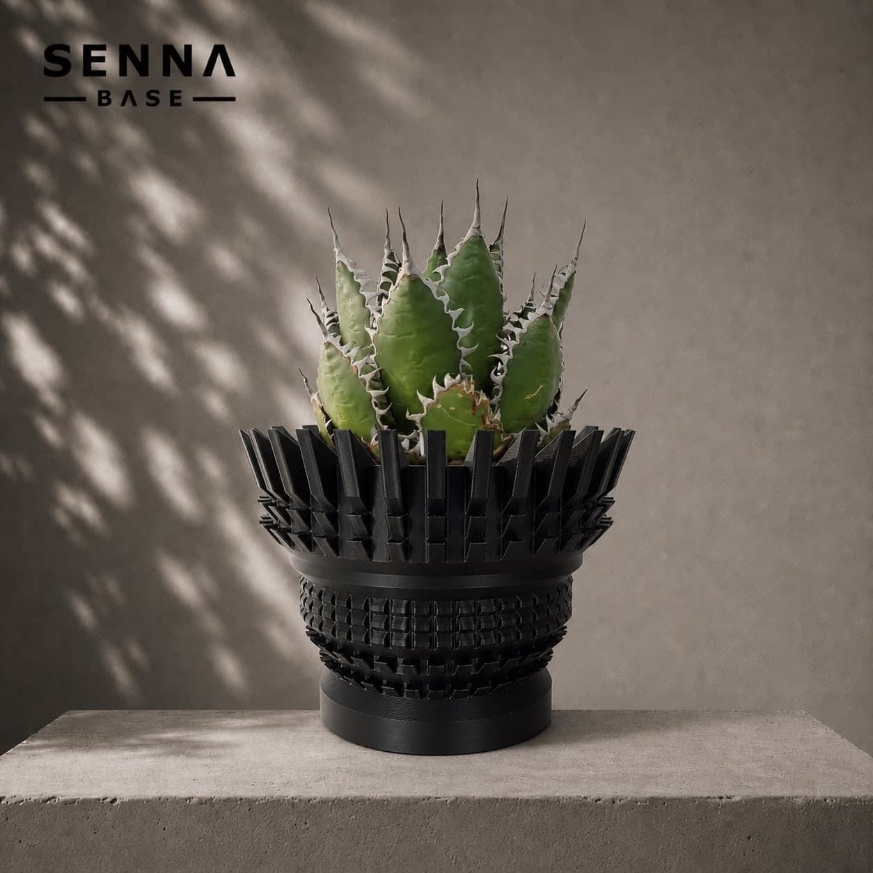 PLANTS 001